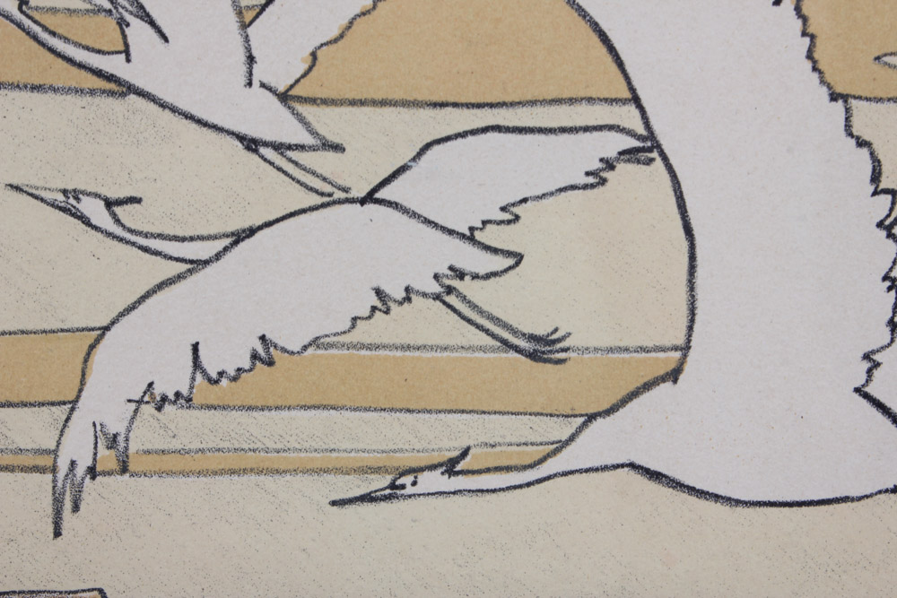 Hand Colored Lithograph of Birds Over Water