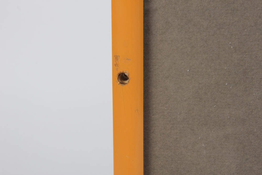 Hand Colored Lithograph of Birds Over Water