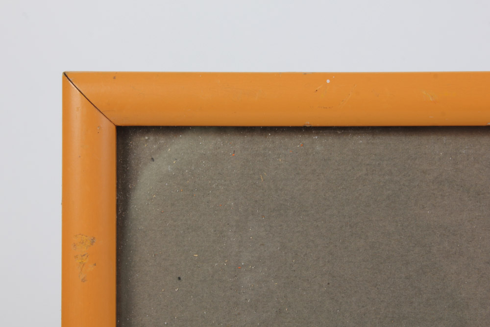 Hand Colored Lithograph of Birds Over Water