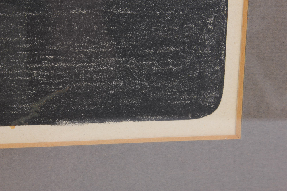 Hand Colored Lithograph of Birds Over Water