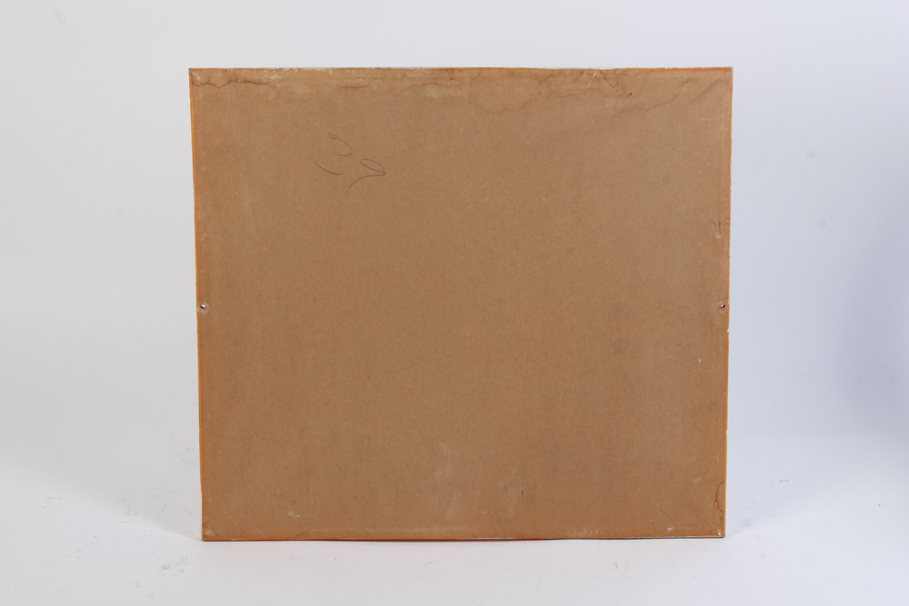 Hand Colored Lithograph of Birds Over Water