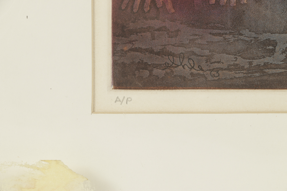 John Ihle Artist's Proof Color Etching on Paper "Ungawa, Tantor"