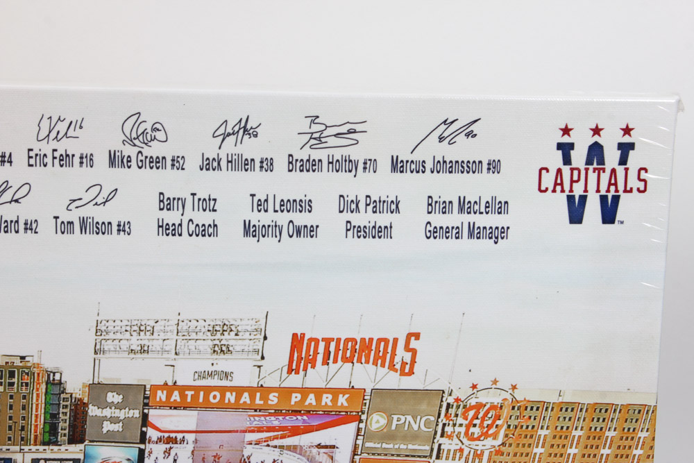 Giclée on Canvas After Photograph of the 2015 Washington Capitals Winter Classic