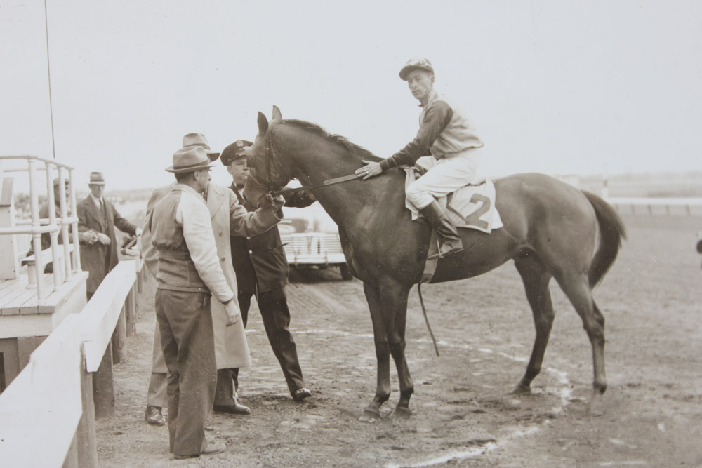 Collection of Narragansett Park Black and White Photographs of Race Horses