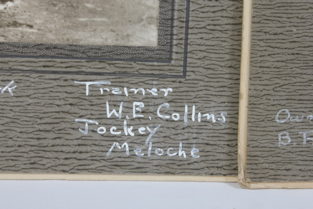 Collection of Narragansett Park Black and White Photographs of Race Horses