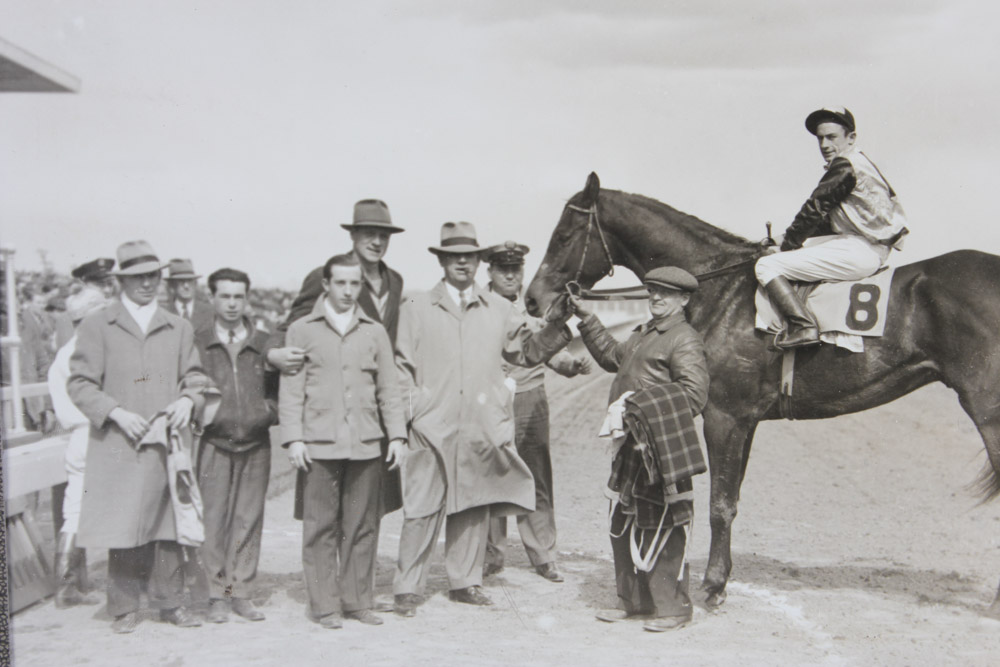 Collection of Narragansett Park Black and White Photographs of Race Horses