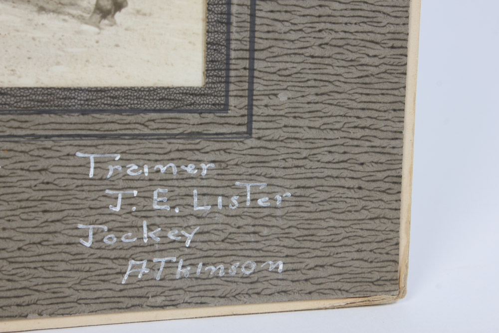 Collection of Narragansett Park Black and White Photographs of Race Horses