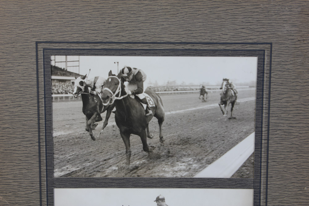 Collection of Narragansett Park Black and White Photographs of Race Horses