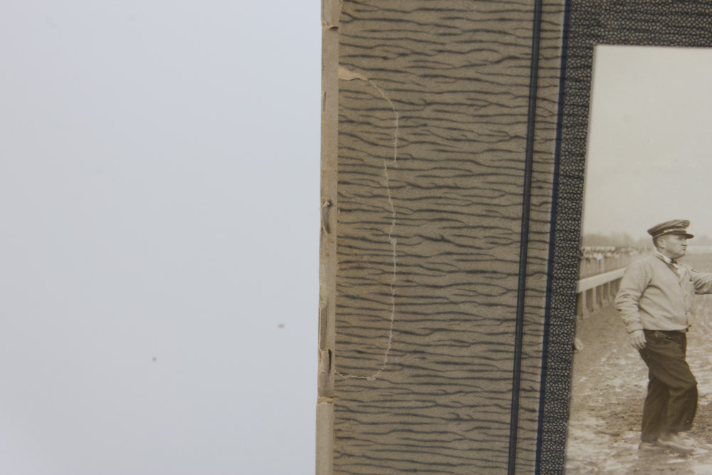 Collection of Narragansett Park Black and White Photographs of Race Horses