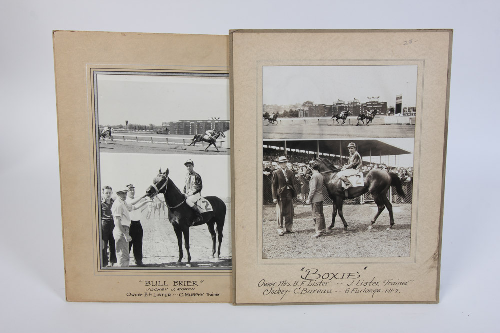 Collection of Black and White Photographs of Race Horses