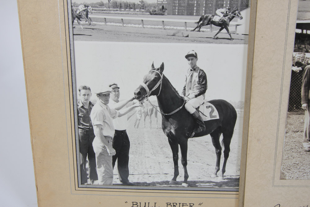 Collection of Black and White Photographs of Race Horses