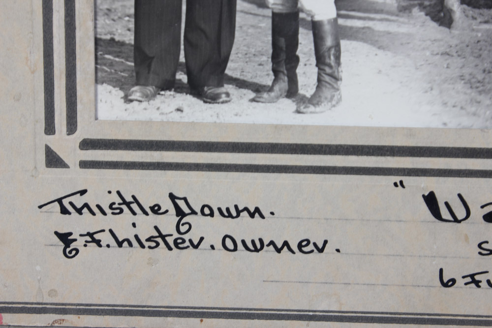 Collection of Black and White Photographs of Race Horses