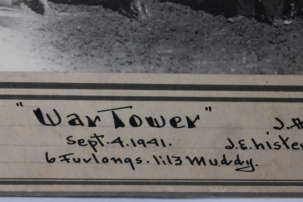 Collection of Black and White Photographs of Race Horses