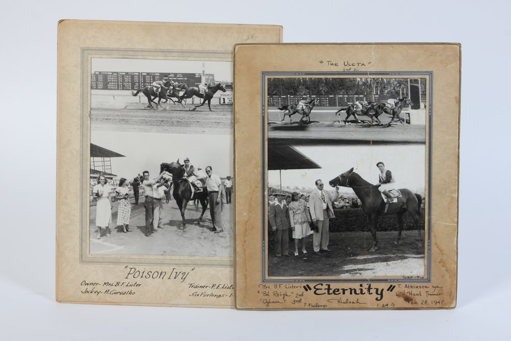 Collection of Black and White Photographs of Race Horses