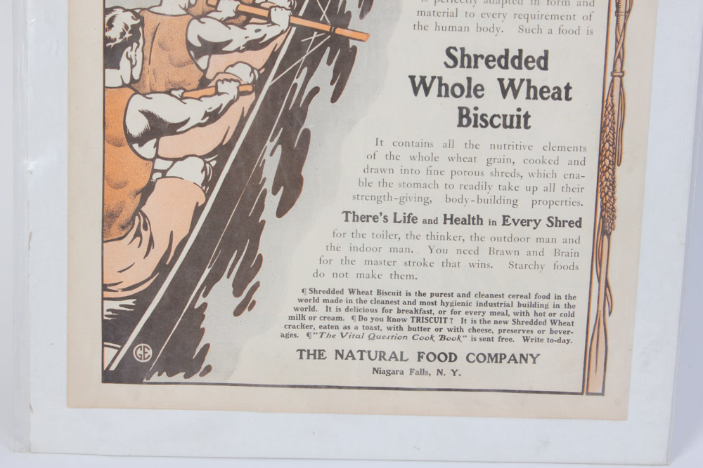 Rowing Theme Caricatures, Photographs and Ephemera