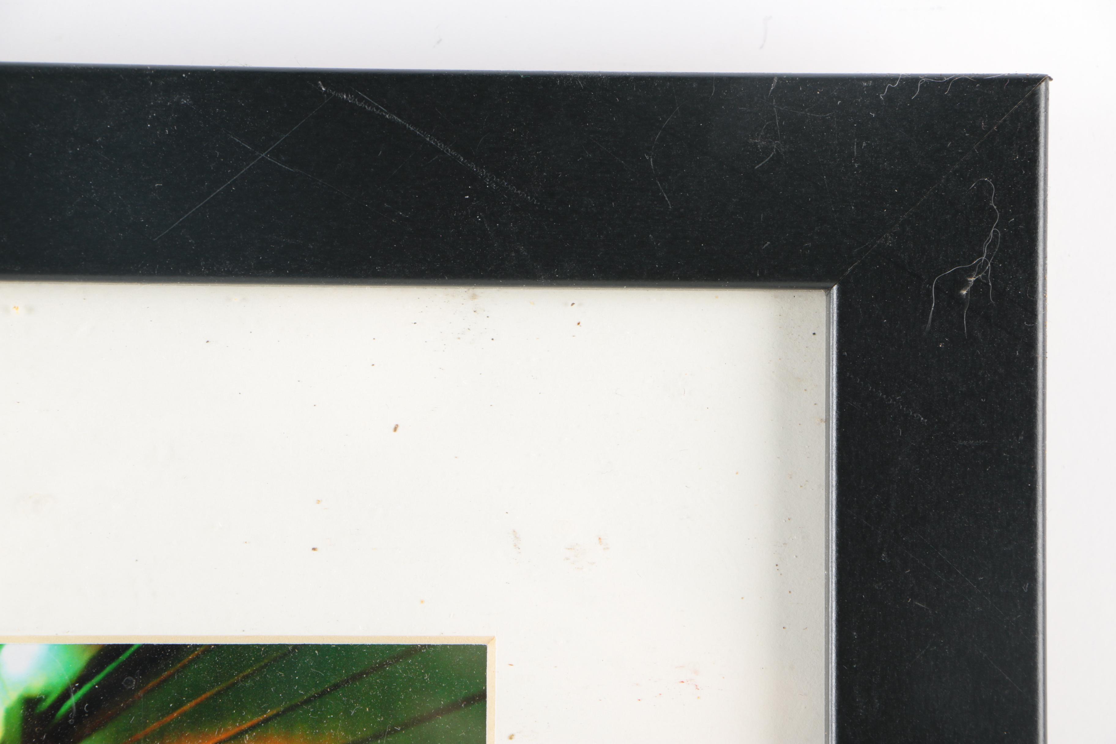 Wyatt Tan Limited Edition Photo-Offset "Tunnel Vision"