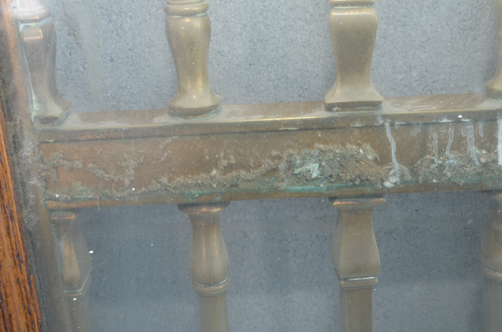 Pair of Glass Paneled Doors with Brass Hardware