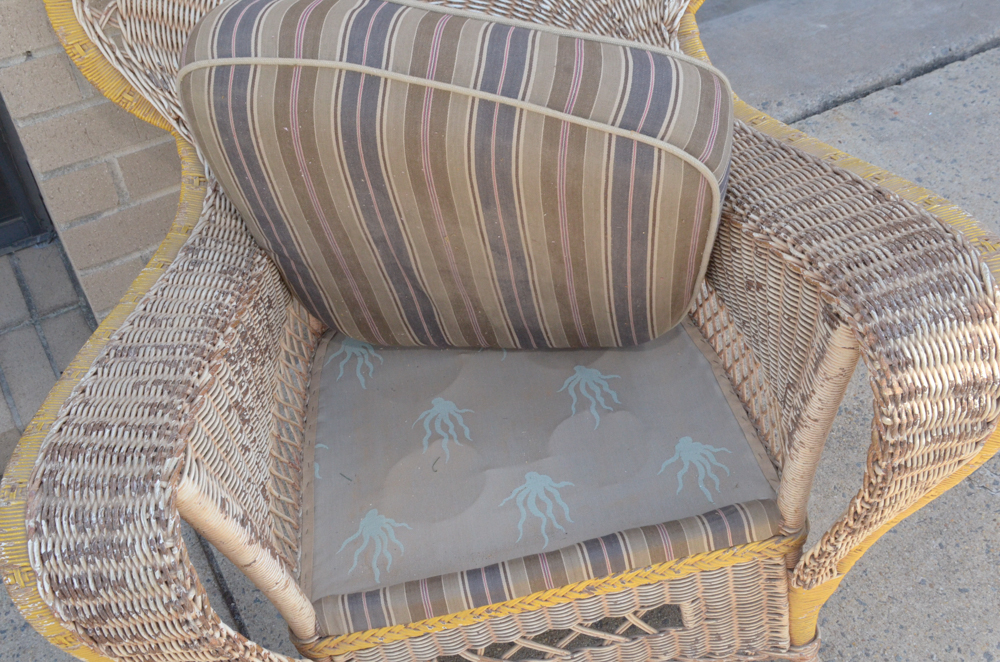 Wicker Furniture Set