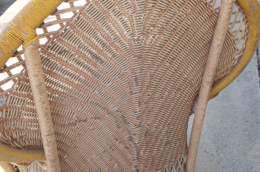 Wicker Furniture Set