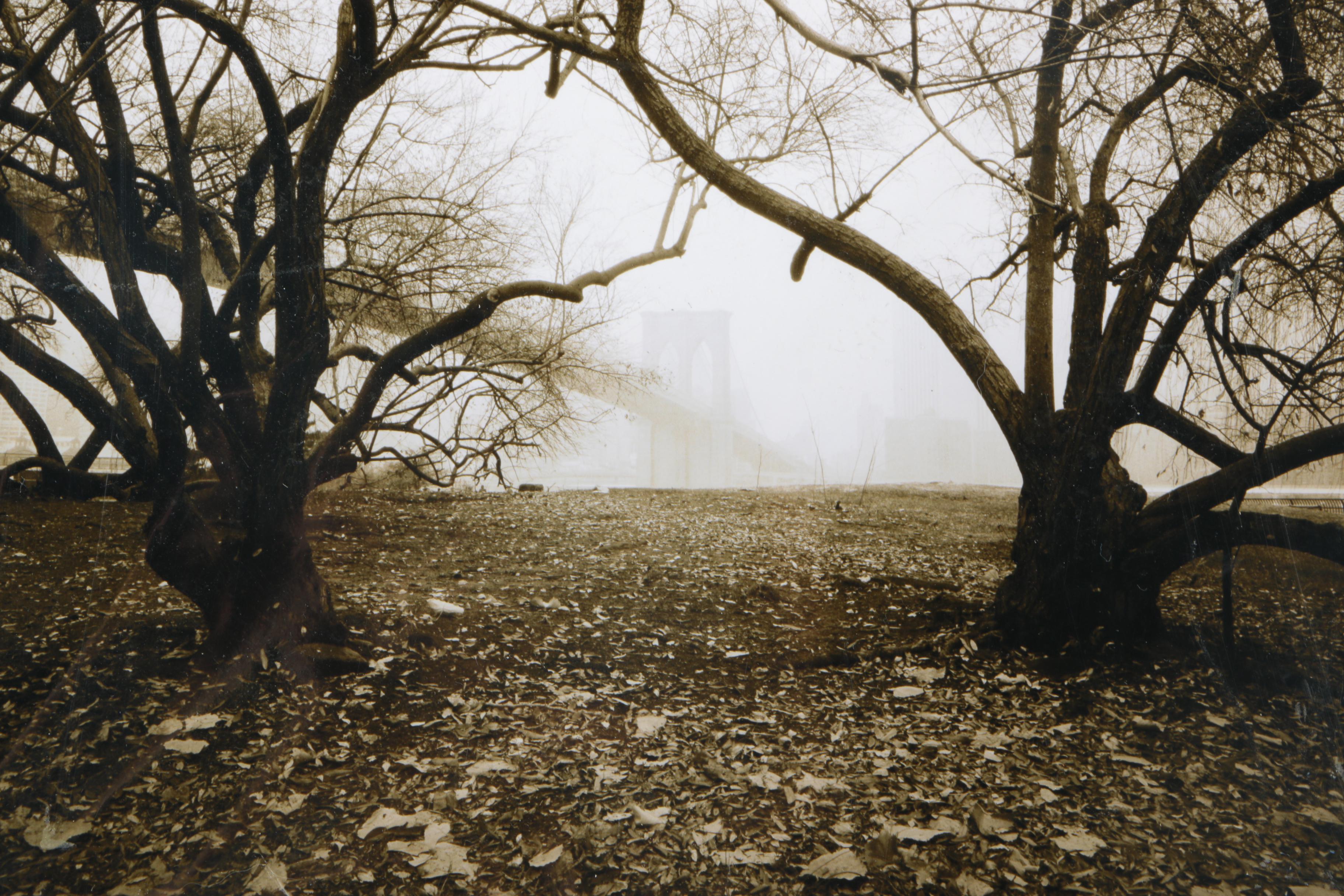 Two Black and White Signed Photos By Alkadabra Gallery