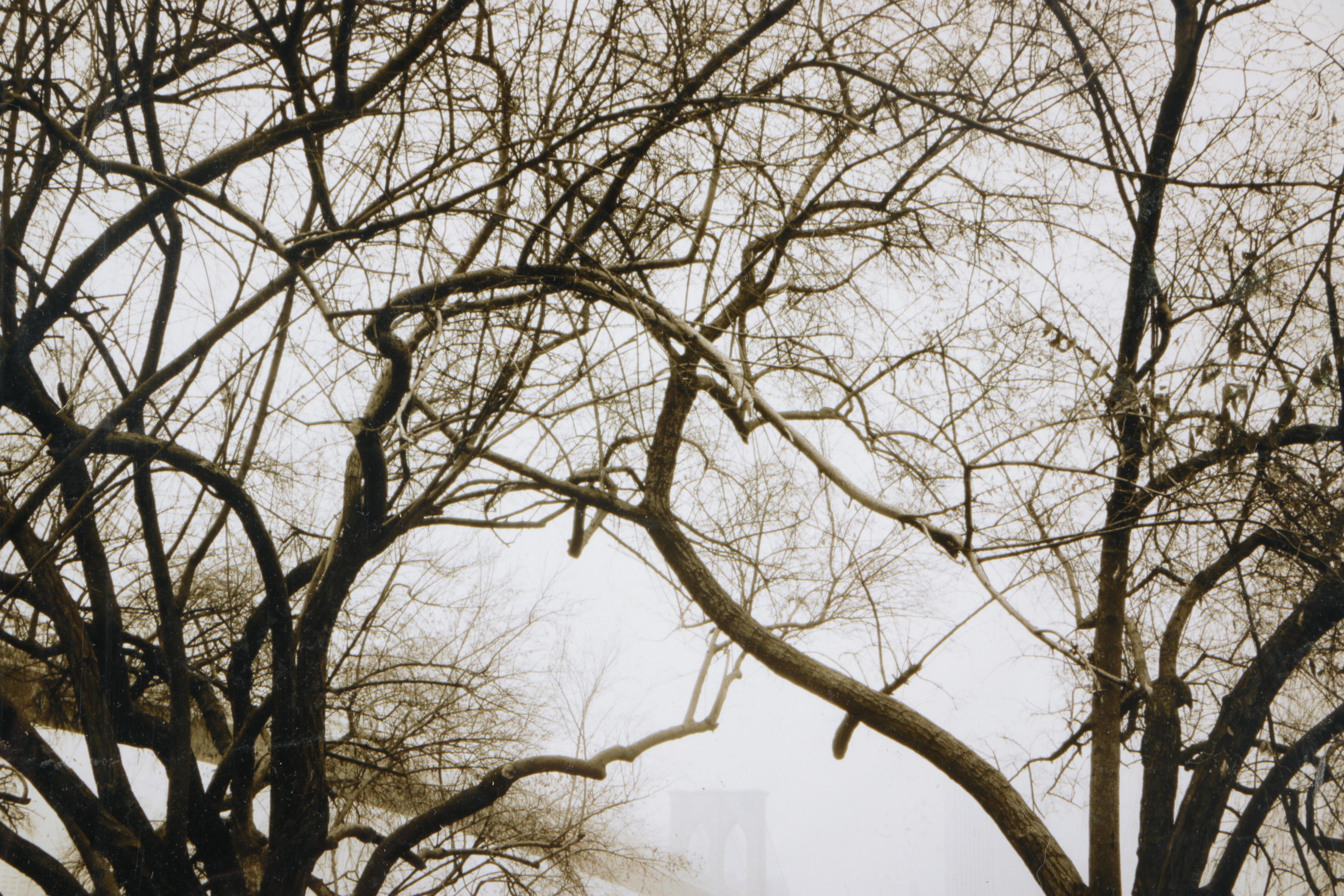 Two Black and White Signed Photos By Alkadabra Gallery