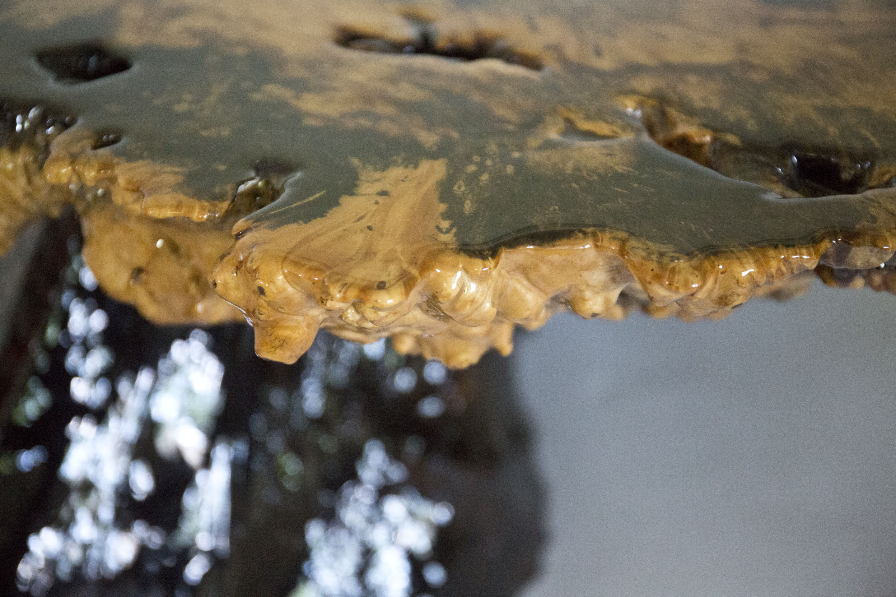 Epoxied Buckeye Burl Coffee Table by Wheeler