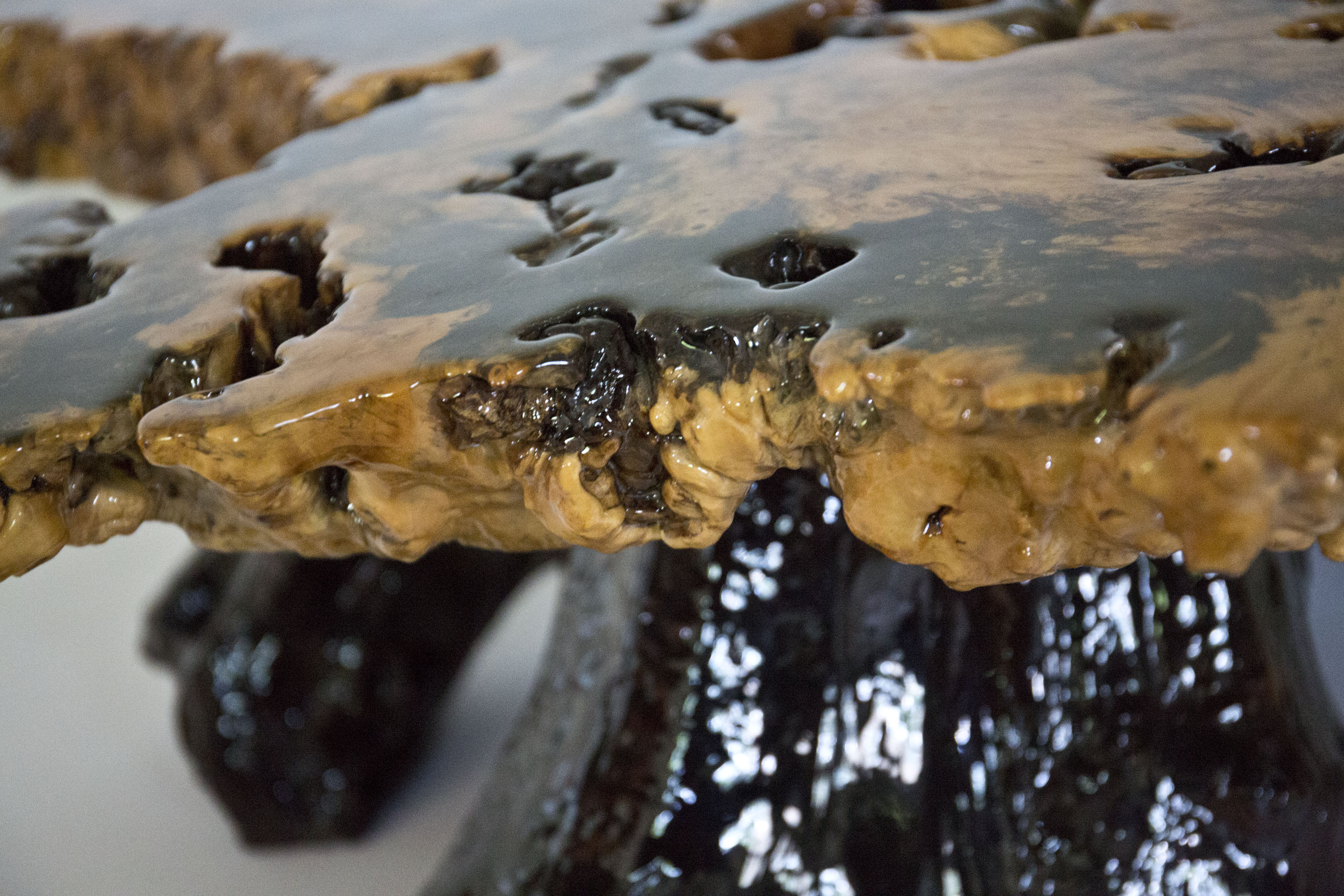 Epoxied Buckeye Burl Coffee Table by Wheeler