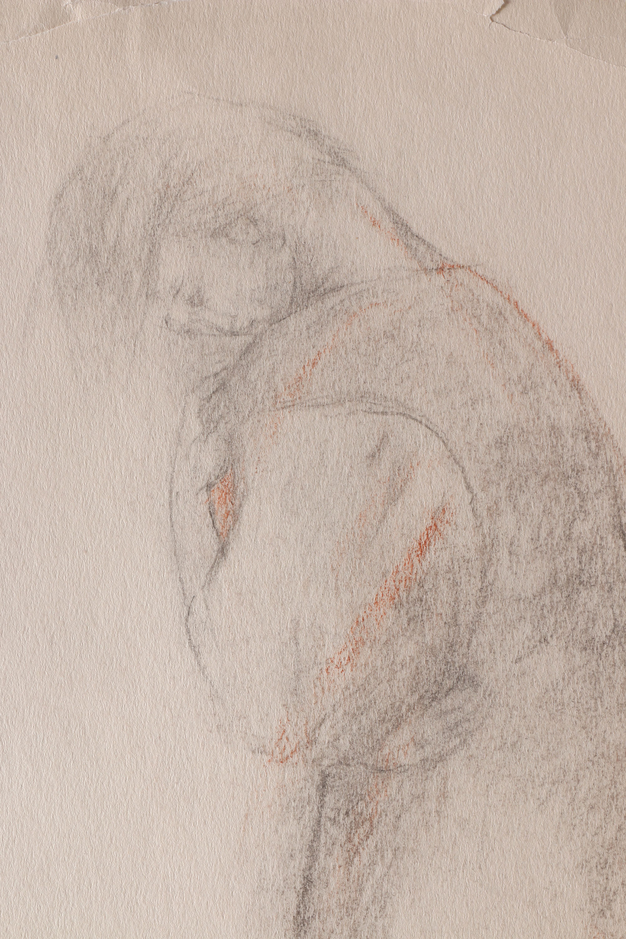 Salcia Bahnc Charcoal and Pastel Figure Drawings