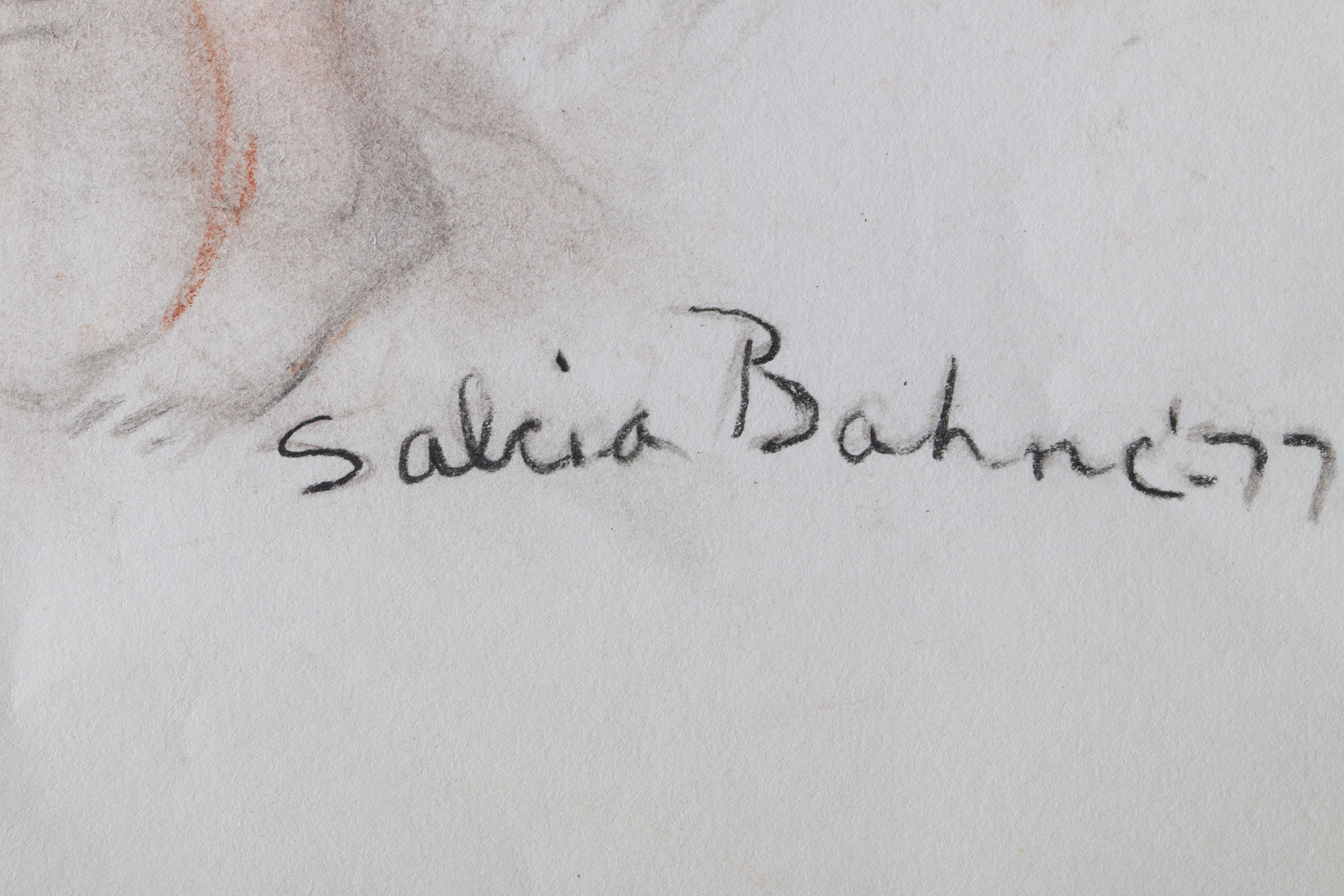 Salcia Bahnc Charcoal and Pastel Figure Drawings