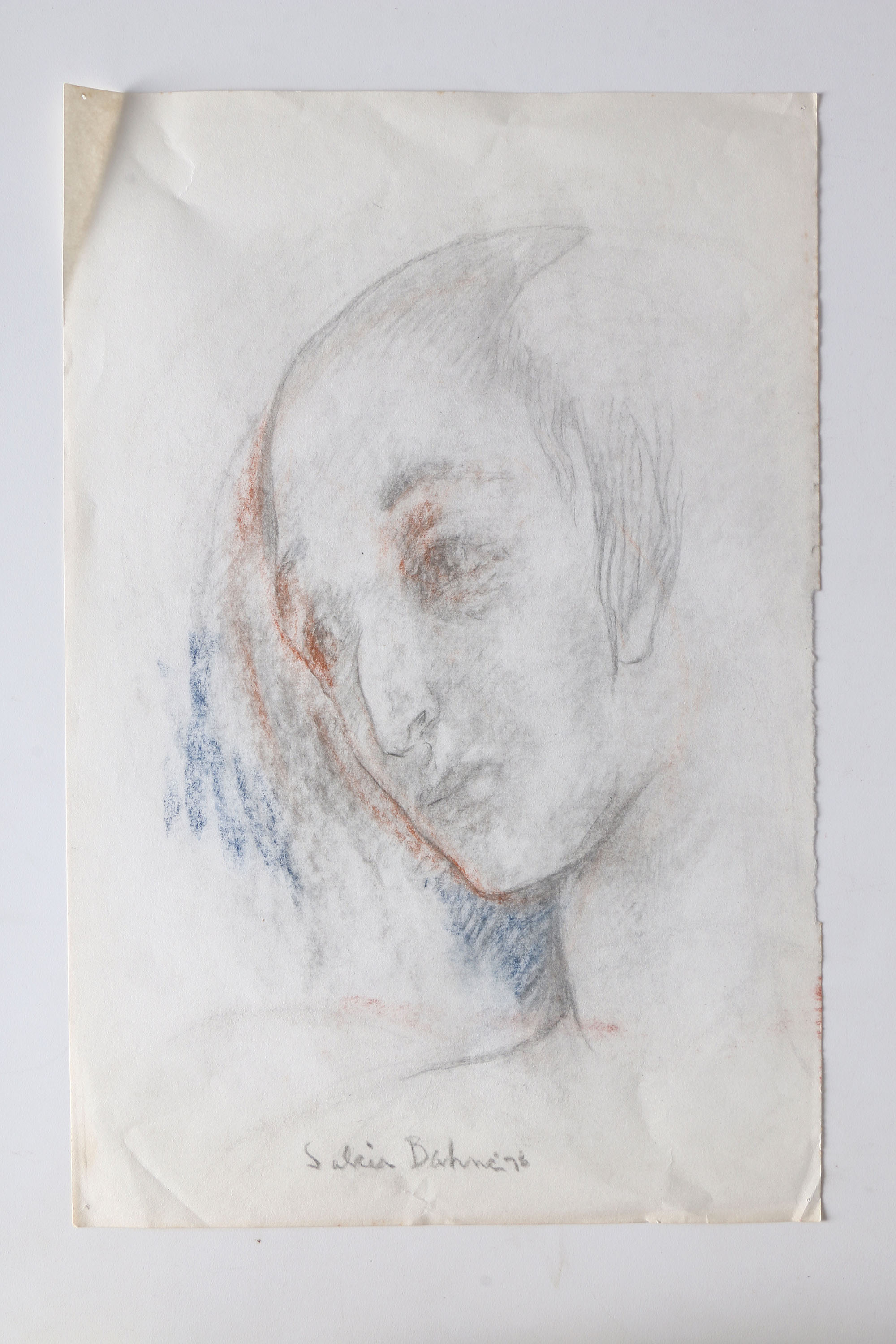 Salcia Bahnc Charcoal and Pastel Figure Drawings