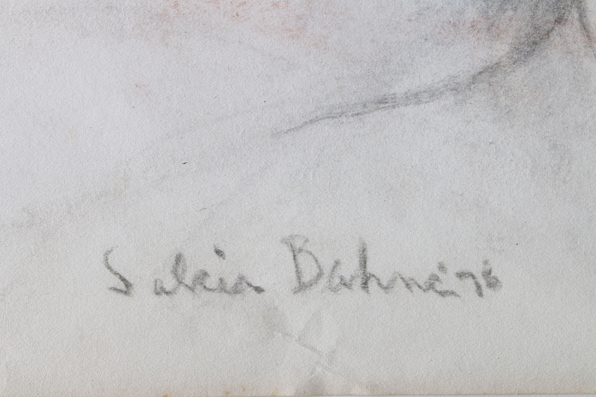 Salcia Bahnc Charcoal and Pastel Figure Drawings