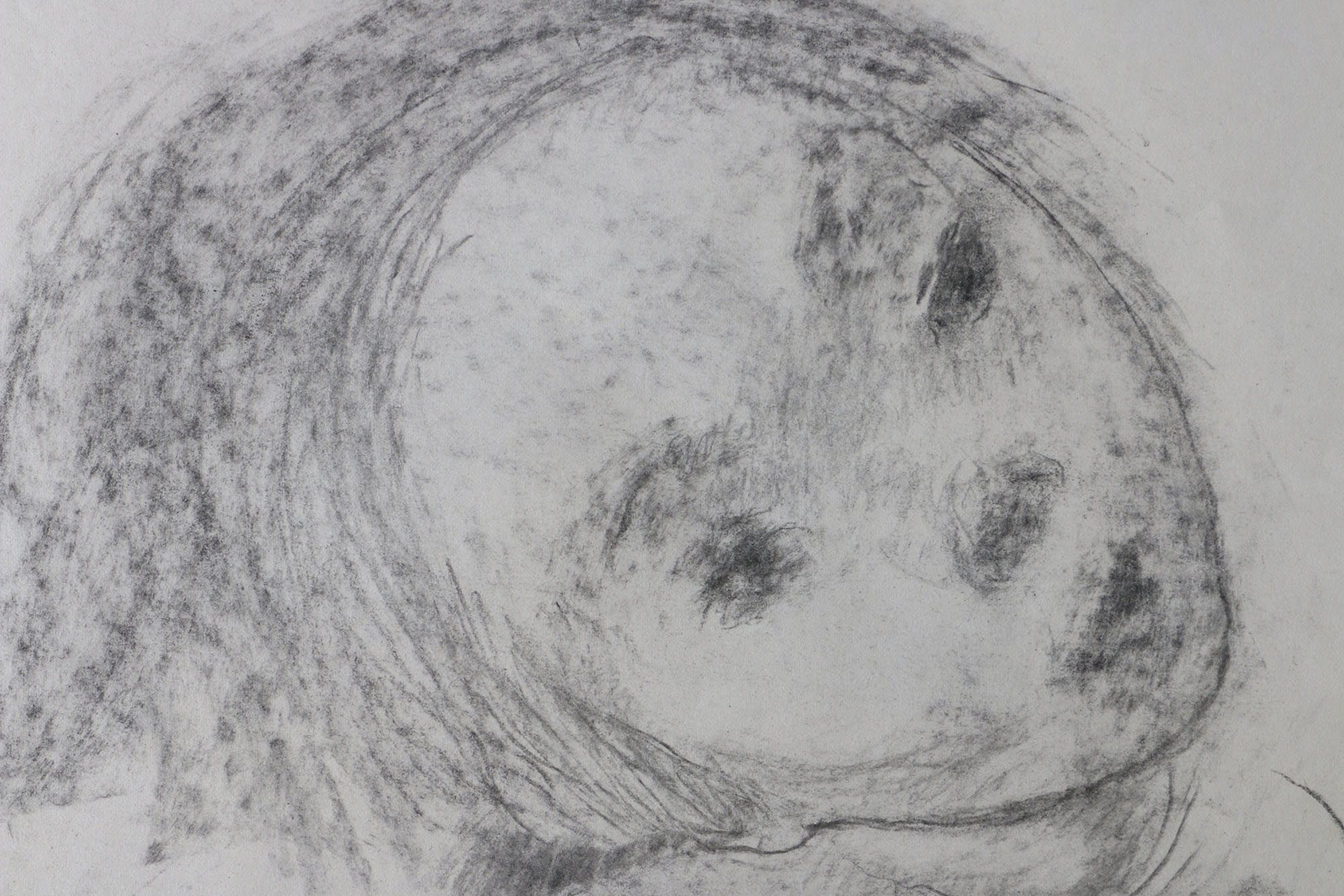 Salcia Bahnc Charcoal and Pastel Figure Drawings