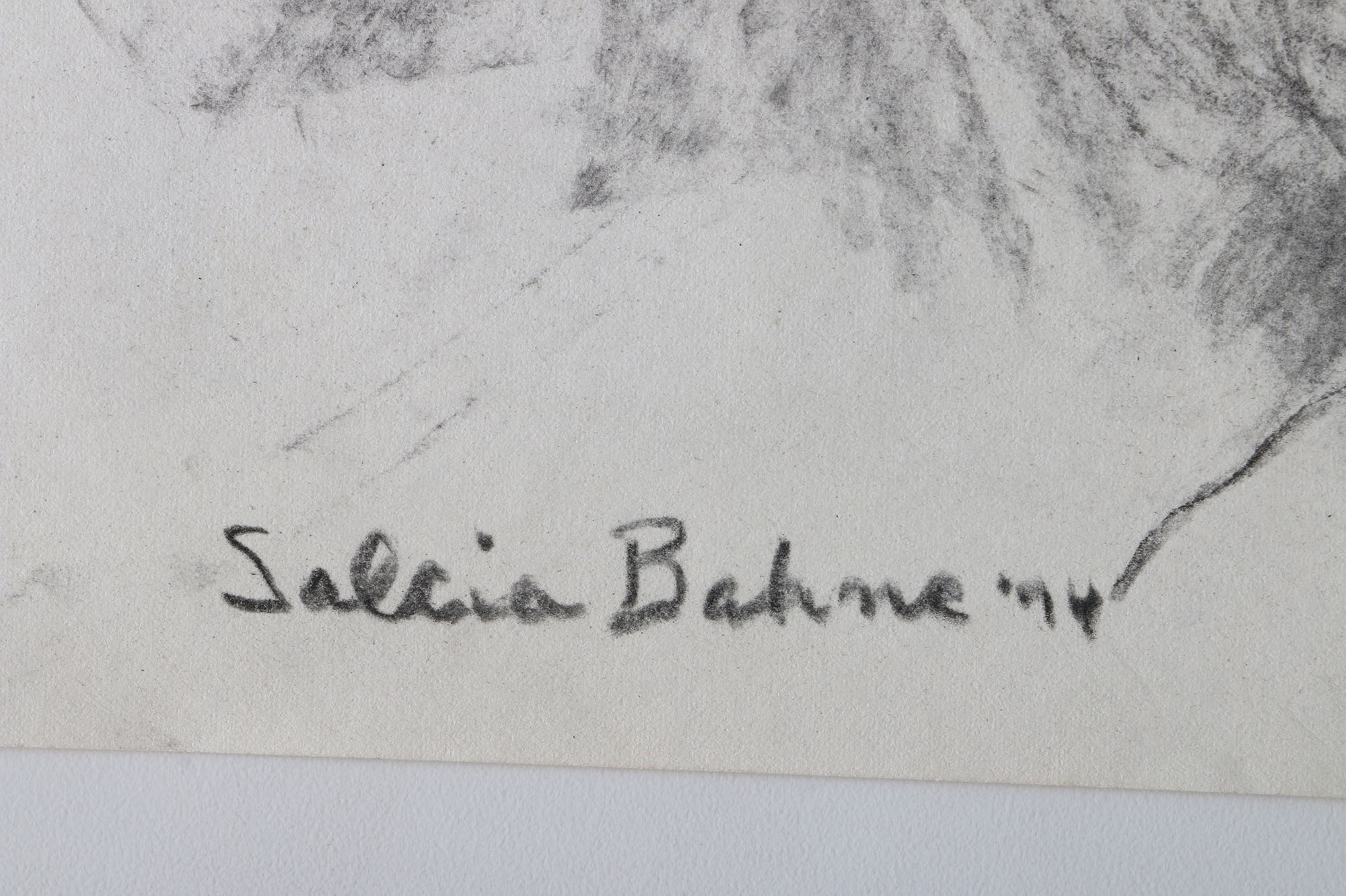 Salcia Bahnc Charcoal and Pastel Figure Drawings