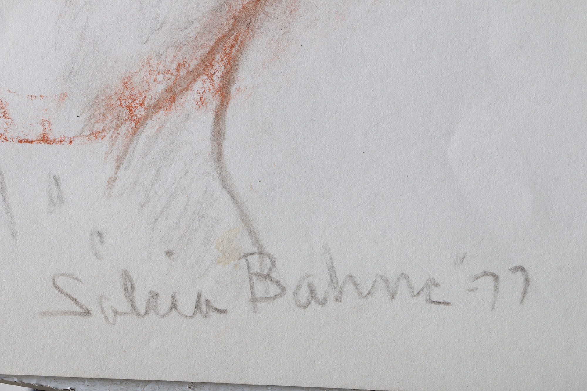 Salcia Bahnc Charcoal and Pastel Figure Drawings