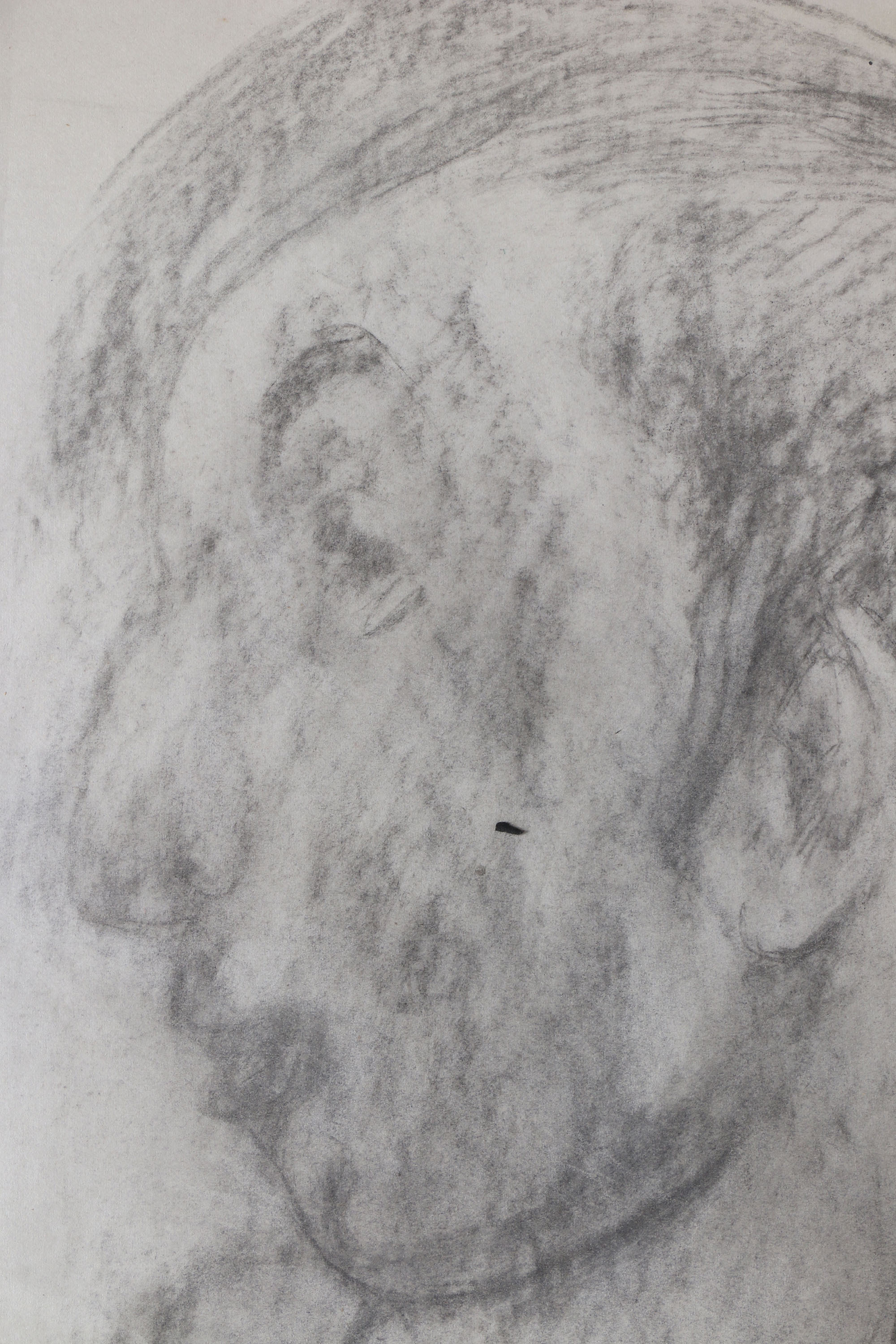 Salcia Bahnc Charcoal and Pastel Figure Drawings