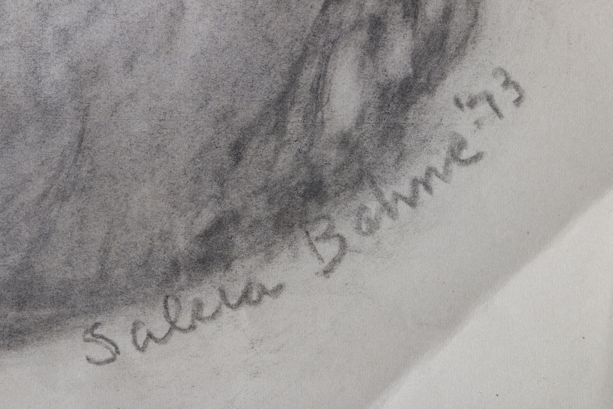 Salcia Bahnc Charcoal and Pastel Figure Drawings