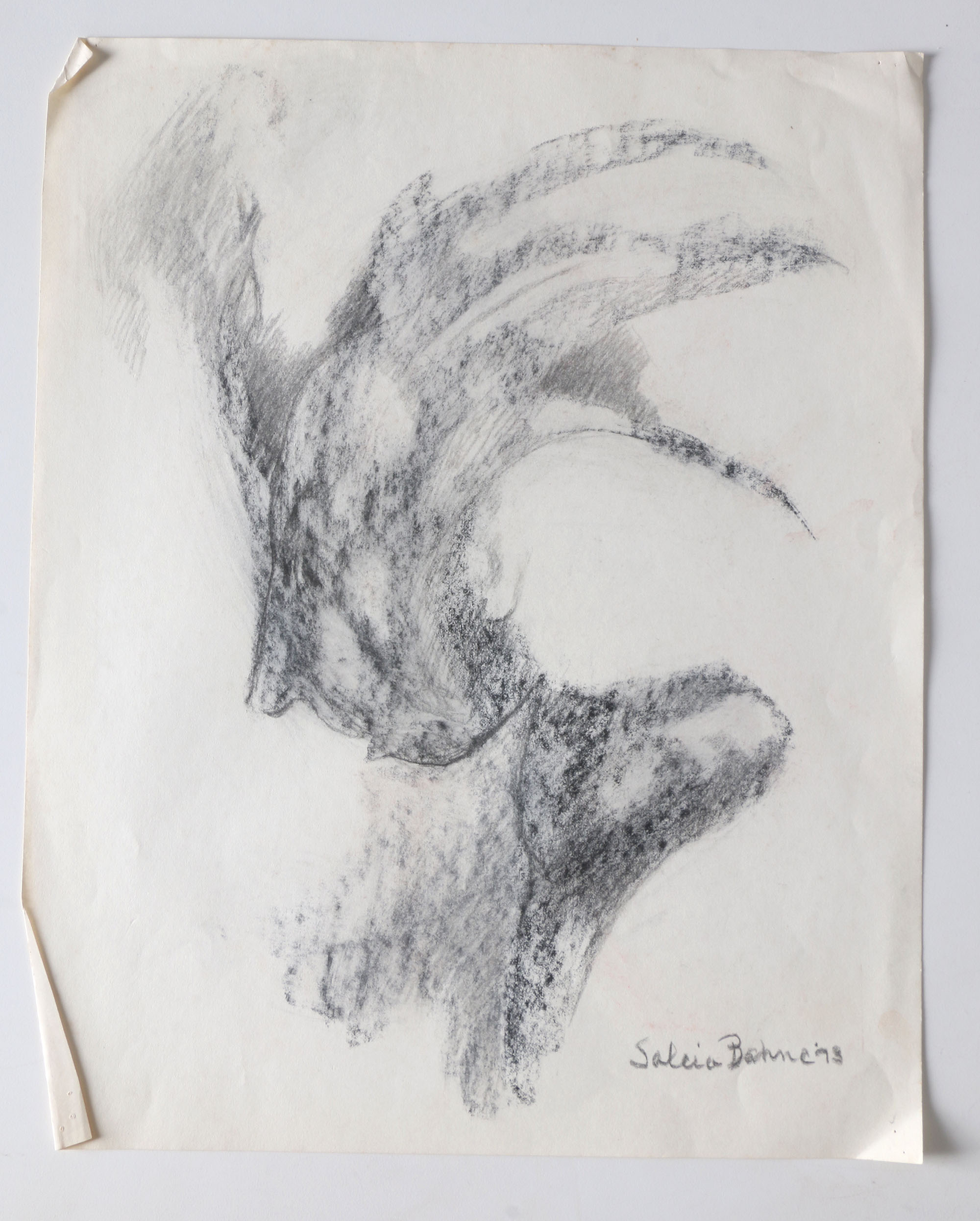 Salcia Bahnc Charcoal and Pastel Figure Drawings