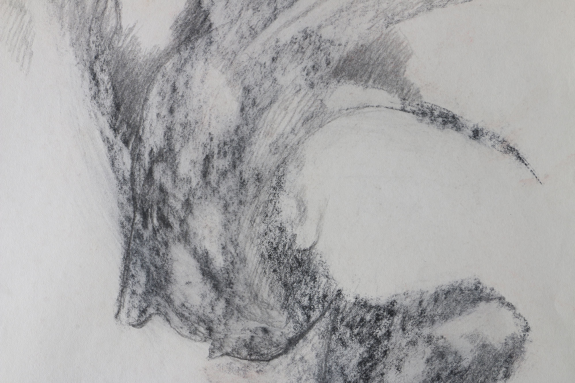 Salcia Bahnc Charcoal and Pastel Figure Drawings