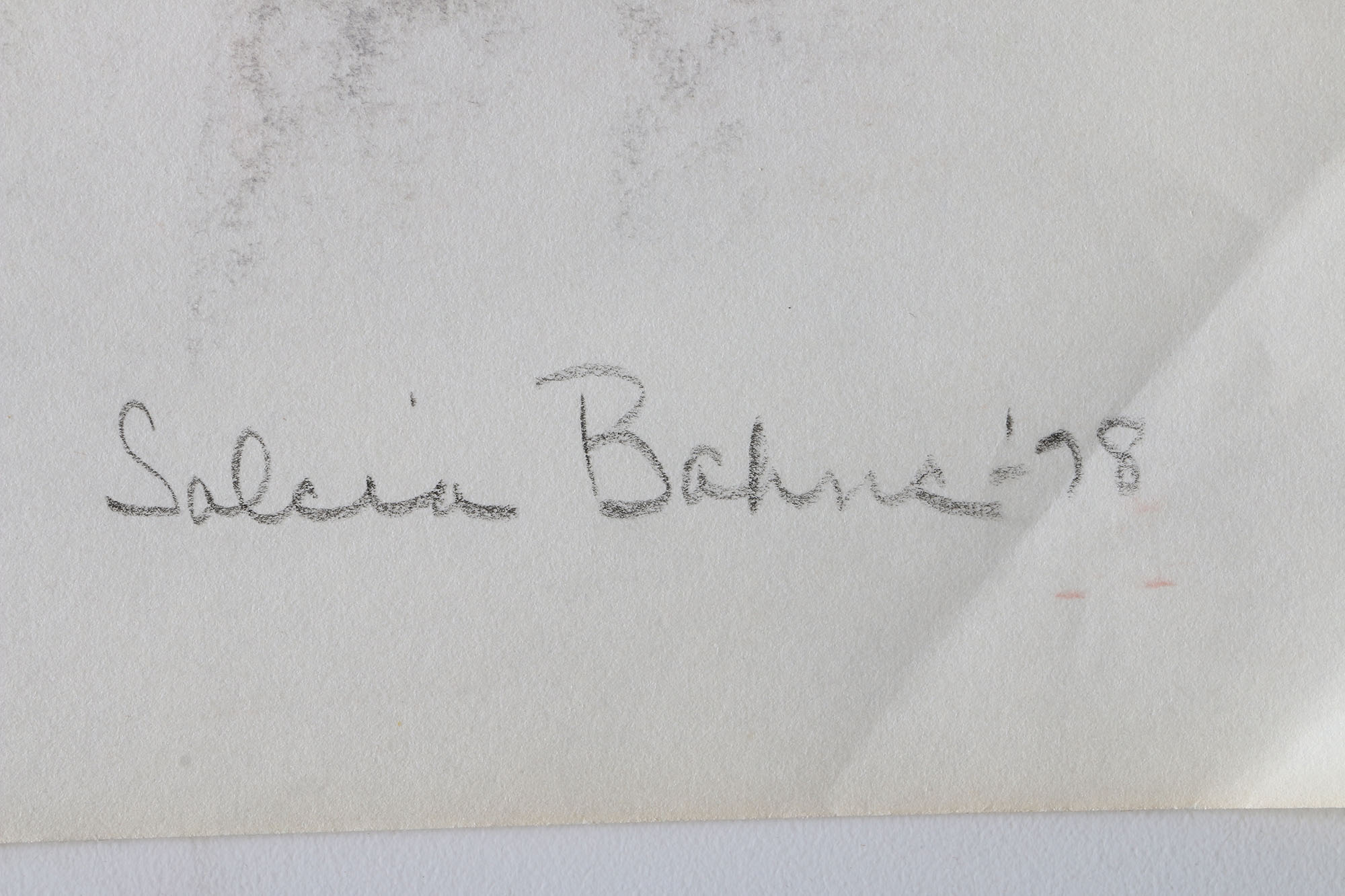 Salcia Bahnc Charcoal and Pastel Figure Drawings