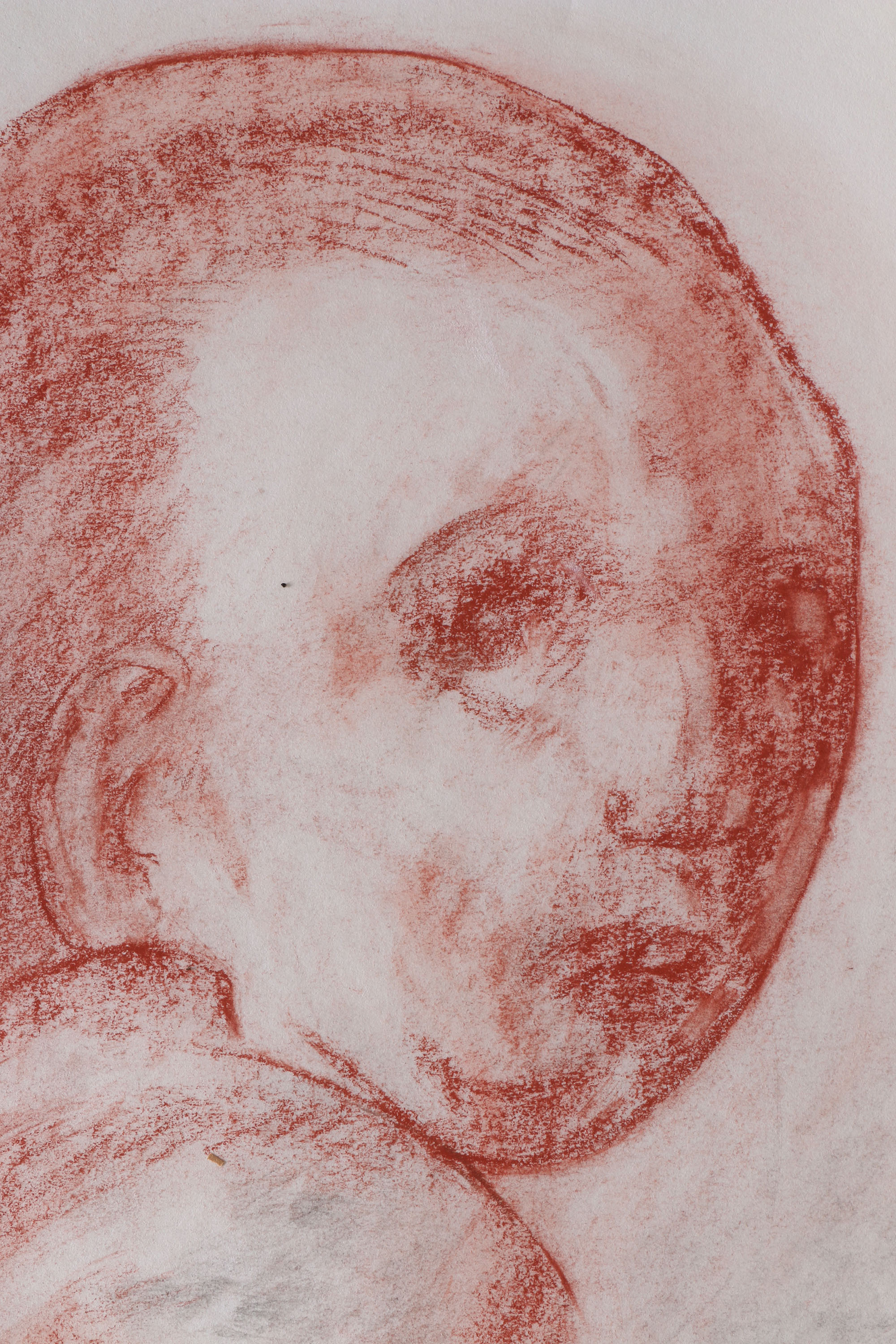 Salcia Bahnc Charcoal and Pastel Figure Drawings