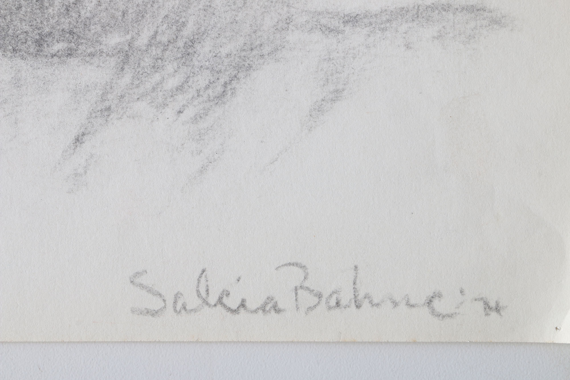 Salcia Bahnc Charcoal and Pastel Figure Drawings