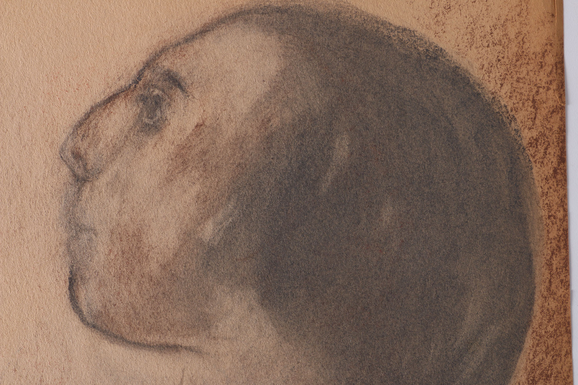 Salcia Bahnc Figure Drawings And Three Richard Ericson Artworks