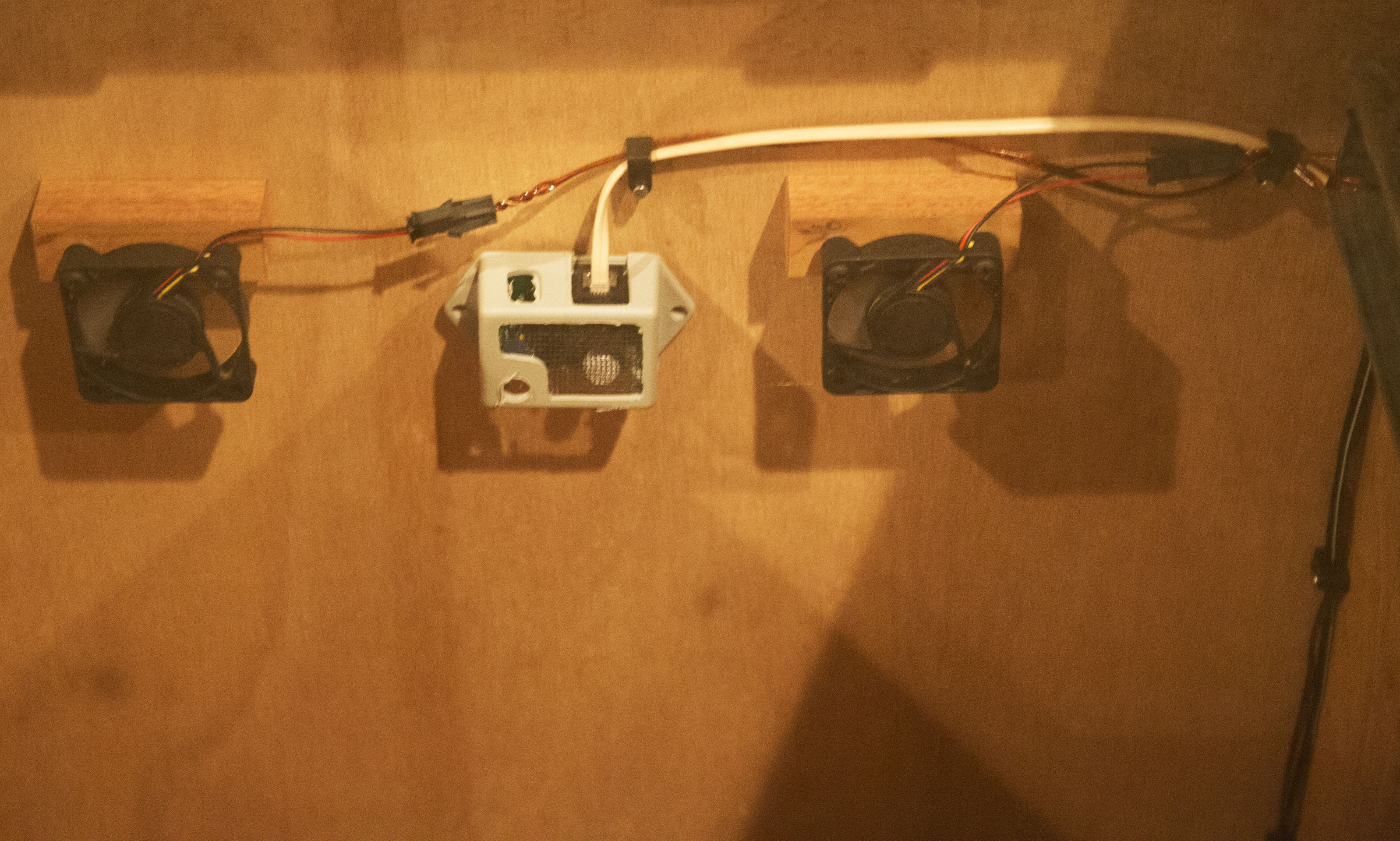 Humidor Storage Cabinet with Avallo Accumonitor