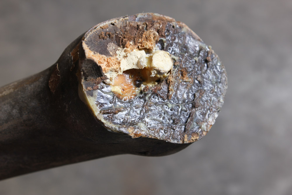 Gustav Dentzel Hand-Carved Reindeer Sculpture