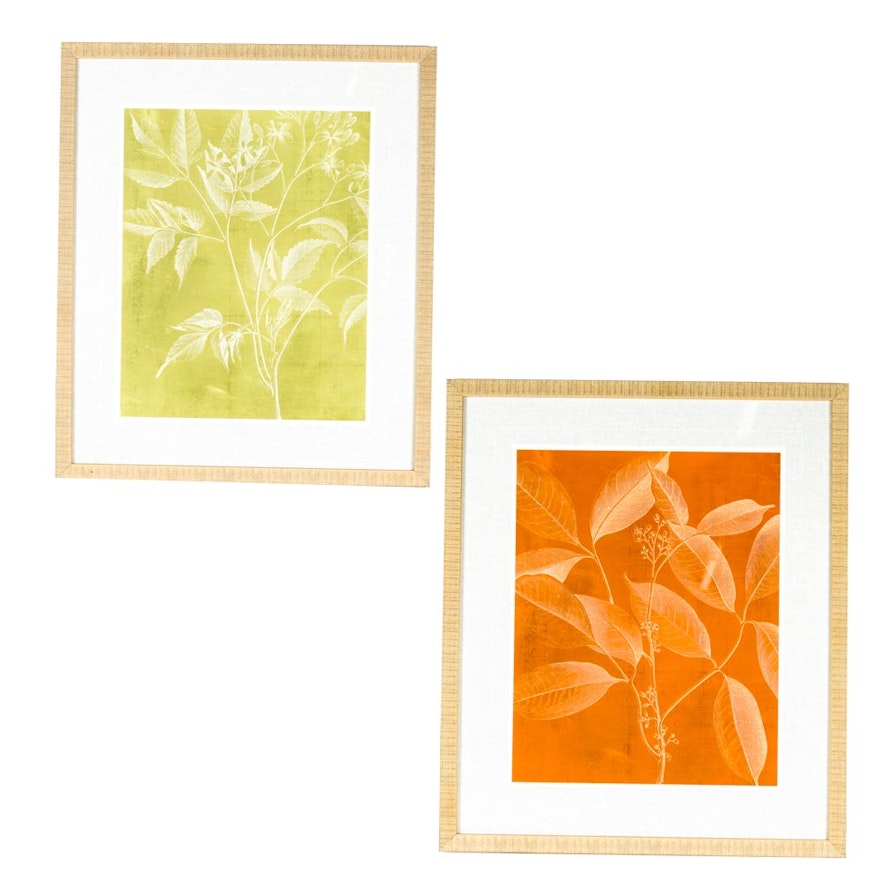 Pair of Framed Leaf Prints