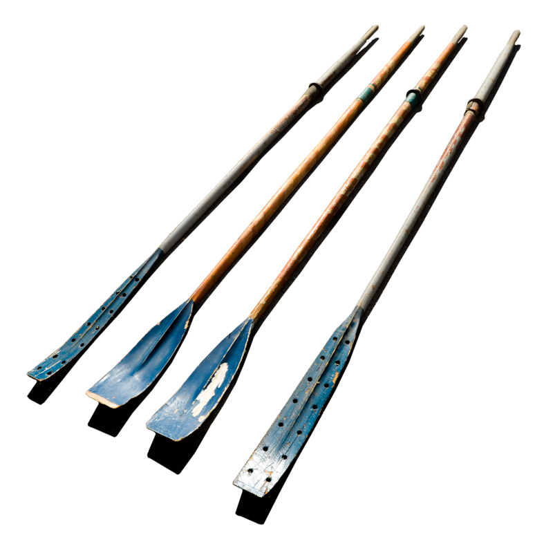 Group of Rowing Oars with Blue Blades