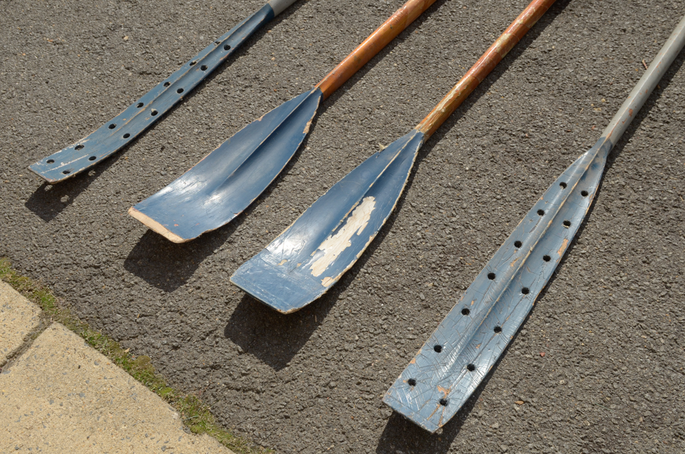 Group of Rowing Oars with Blue Blades