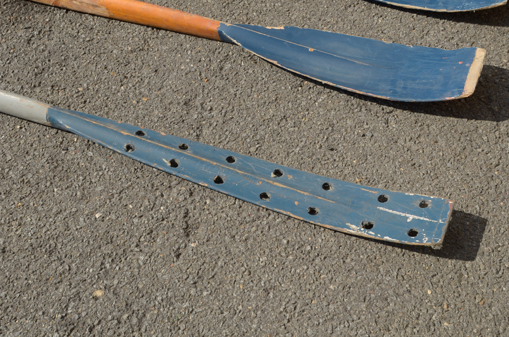 Group of Rowing Oars with Blue Blades