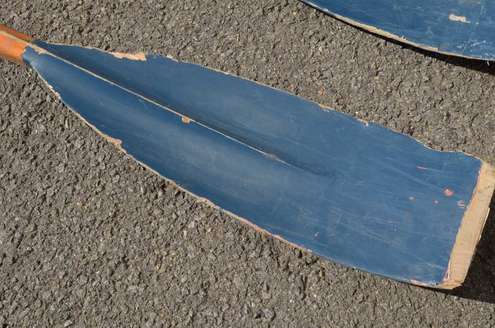 Group of Rowing Oars with Blue Blades