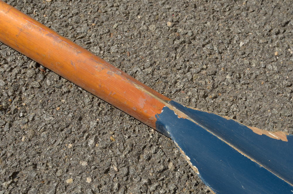 Group of Rowing Oars with Blue Blades